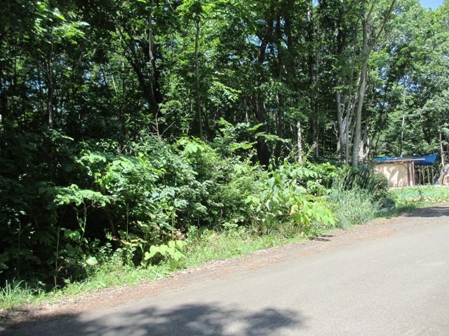 Land for Sale in SilentLand Niseko Royal Town, Hokkaido - Thumbnail 3