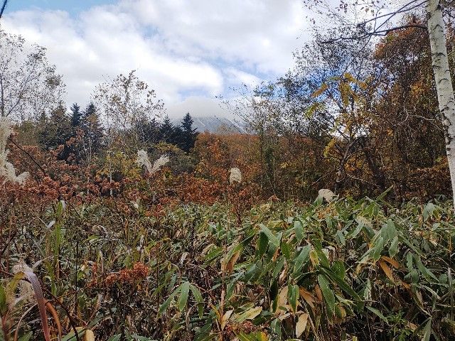 Land for Sale in Niseko with Mount Yotei Views - 334 sqm Plot - Thumbnail 2