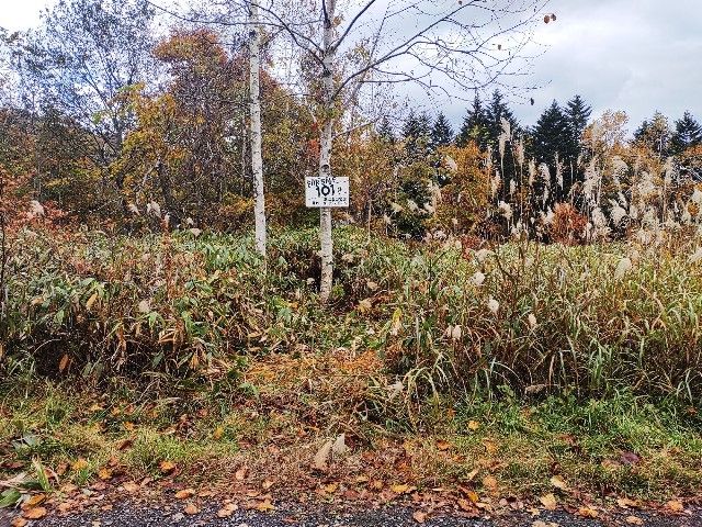 Land for Sale in Niseko with Mount Yotei Views - 334 sqm Plot - Thumbnail 3