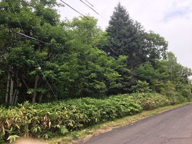HighGrade Villa Yuri 533 Land for Sale in Rankoshi, Hokkaido - Thumbnail 3