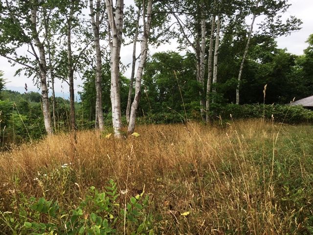 Land for Sale in Rankoshi, Niseko - HighGrade Villa Yuri 83 Plot - Thumbnail 2