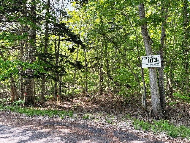 Land for Sale in Niseko's Yuri Hot Spring Area, Hokkaido - Thumbnail 4