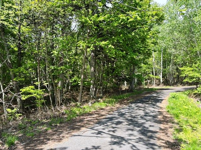 Land for Sale in Niseko's Yuri Hot Spring Area, Hokkaido - Thumbnail 2