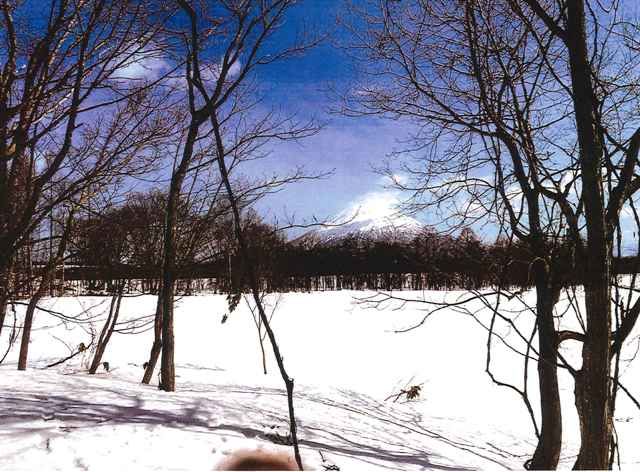 Land for Sale in Niseko with Mt. Yotei Views - 1,423 sqm - Thumbnail 2