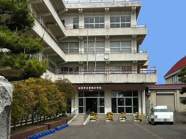 Residential Land for Sale Near Echigo-Sone Station, Niigata - Thumbnail 3