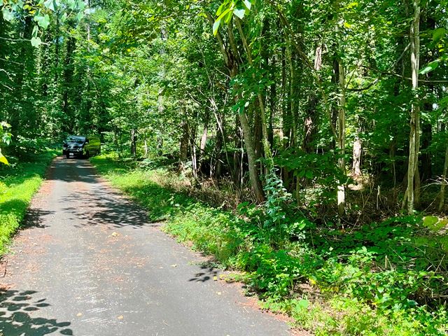 Land for Sale in Niseko's Yuri Hot Spring Area - HighGrade Villa Yuri 99 - Thumbnail 3