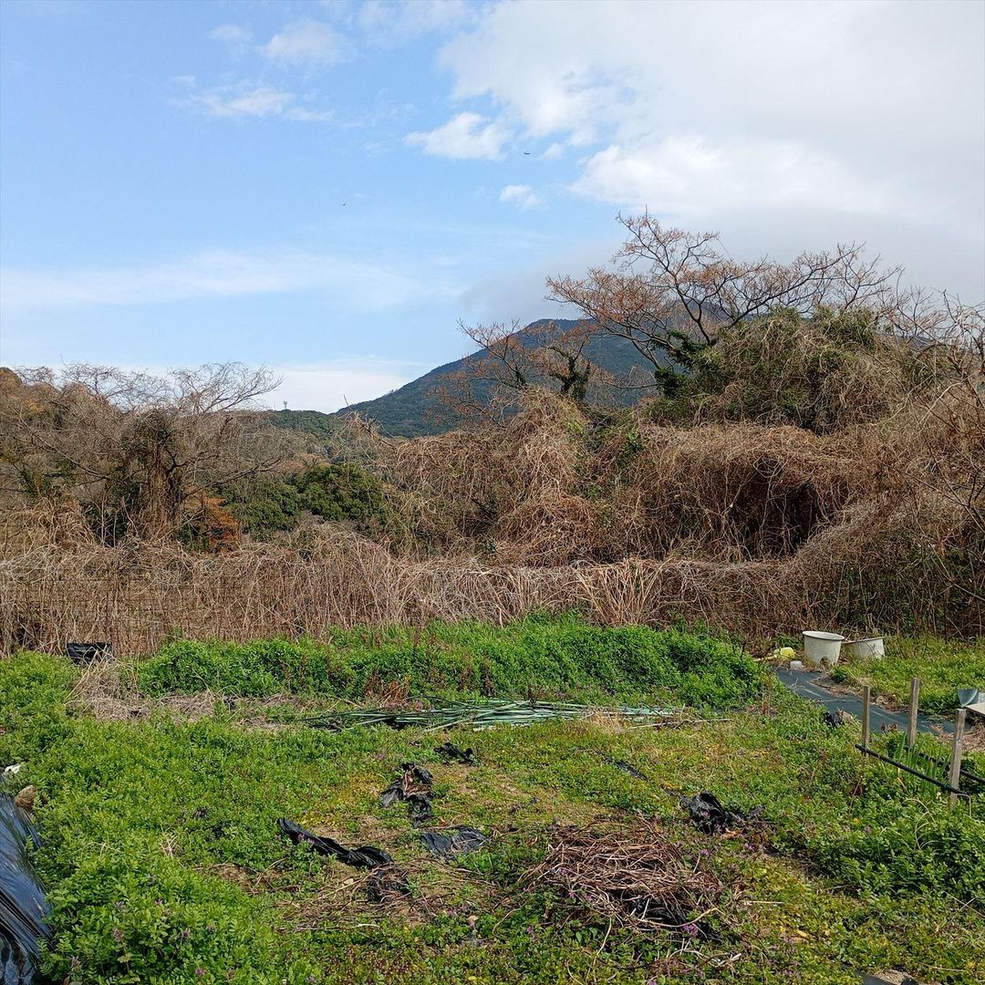 Land for Sale in Nagasaki City with Sea Views - Thumbnail 4