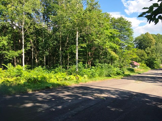 HighGrade Villa Yuri 149 Land for Sale in Niseko's Rankoshi - Thumbnail 3