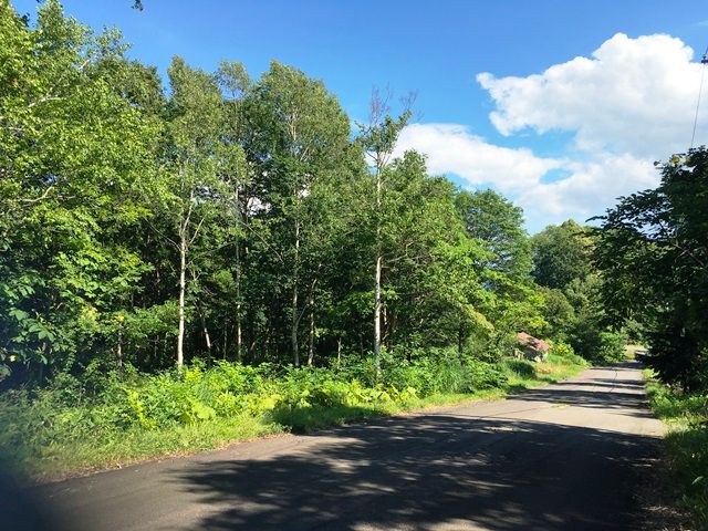 HighGrade Villa Yuri 149 Land for Sale in Niseko's Rankoshi - Image 1