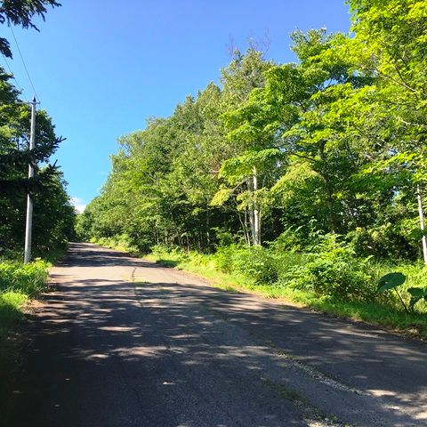 HighGrade Villa Yuri 149 Land for Sale in Niseko's Rankoshi - Thumbnail 2
