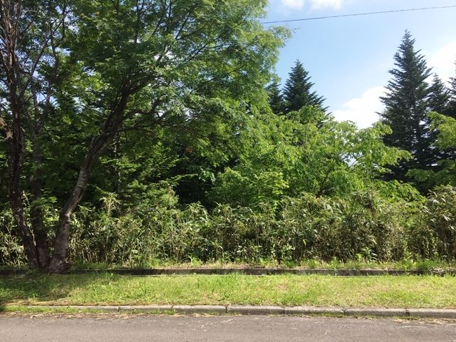 Land for Sale in DOCTORSVILLAGE Yurisato, Rankoshi, Hokkaido - Thumbnail 2