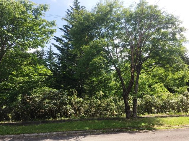 Land for Sale in DOCTORSVILLAGE Yurisato, Rankoshi, Hokkaido - Thumbnail 4