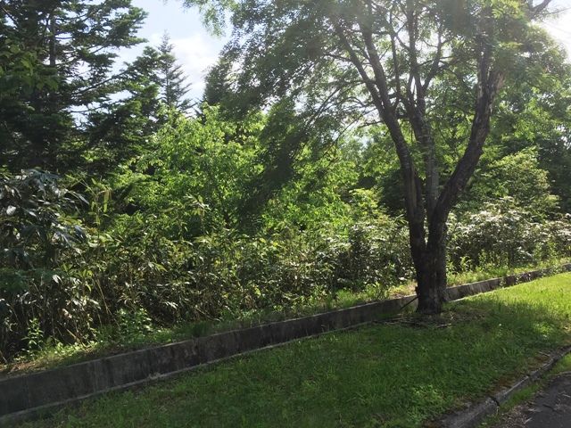 Land for Sale in DOCTORSVILLAGE Yurisato, Rankoshi, Hokkaido - Thumbnail 3