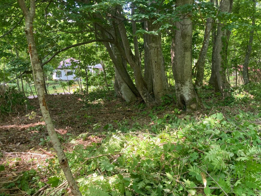 HighGrade Villa Yuri 217 Land for Sale in Rankoshi, Hokkaido - Thumbnail 3