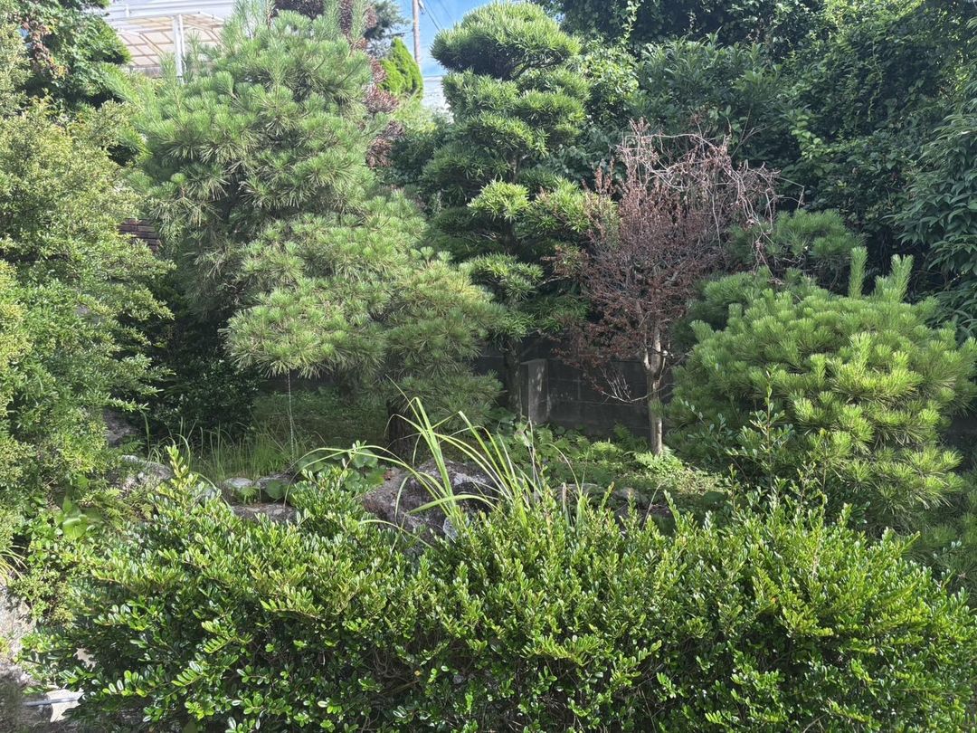 Former Sasebo Dental Clinic for Sale | 302 sqm Commercial Building - Thumbnail 3