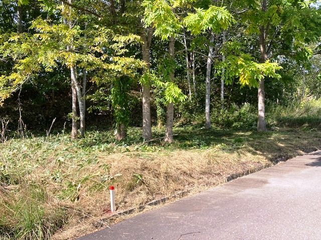 Forest Avenue Land 60.5 Plot for Sale in Niseko, Hokkaido - Thumbnail 2