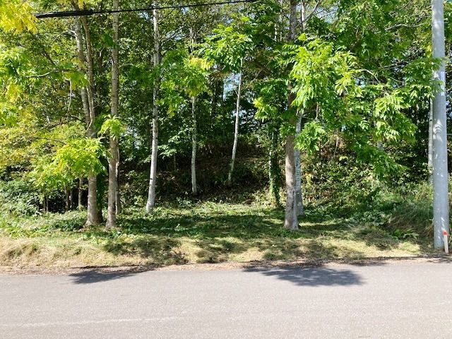 Forest Avenue Land 60.5 Plot for Sale in Niseko, Hokkaido - Thumbnail 4