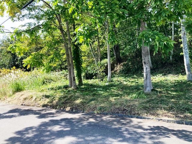 Forest Avenue Land 60.5 Plot for Sale in Niseko, Hokkaido - Thumbnail 3