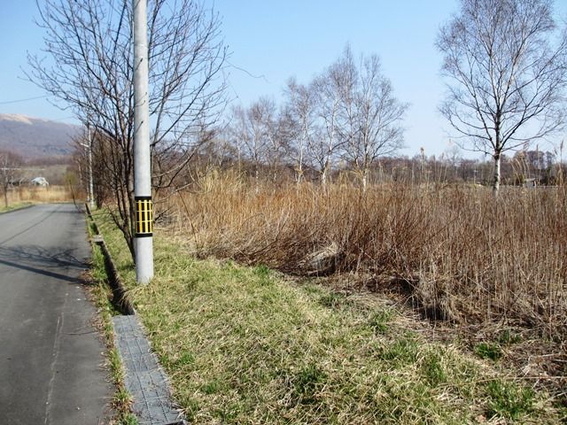 GreenView Land for Sale in Toyako, Hokkaido - 529.6 sqm Plot - Thumbnail 2