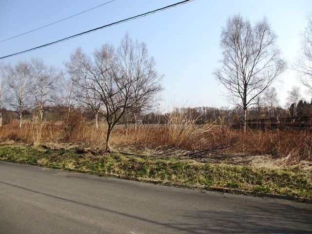 GreenView Land for Sale in Toyako, Hokkaido - 529.6 sqm Plot - Thumbnail 3