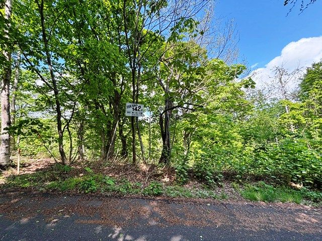 Land for Sale in Rankoshi, Niseko - HighGrade Villa Yuri 142 - Thumbnail 3