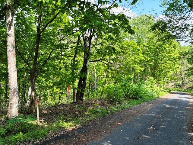 Land for Sale in Rankoshi, Niseko - HighGrade Villa Yuri 142 - Thumbnail 2