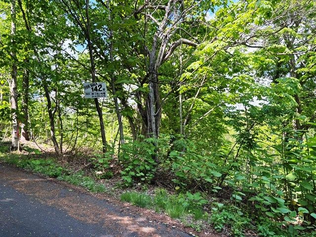 Land for Sale in Rankoshi, Niseko - HighGrade Villa Yuri 142 - Thumbnail 4