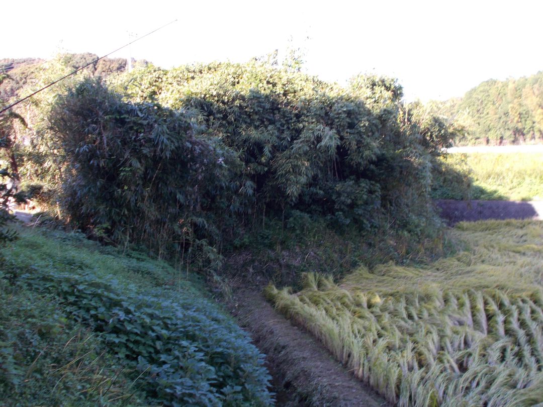 288 sqm Land for Sale in Omura City, Nagasaki - Thumbnail 2