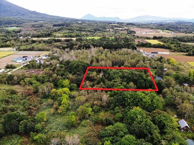Land for Sale in Niseko - 10,166 sqm Plot Near Mt. Yotei - Thumbnail 2