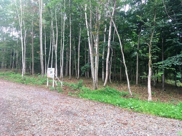 Land for Sale in Niseko - 1277 sqm Plot Next to Kondo Elementary - Thumbnail 3