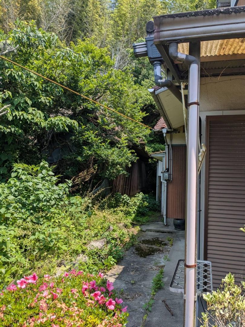 Land for Sale with Old House in Tara, Saga | 485 sqm Plot - Thumbnail 3