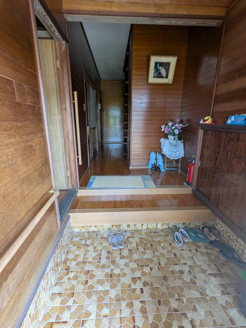 Land for Sale with Old House in Tara, Saga | 485 sqm Plot - Thumbnail 4