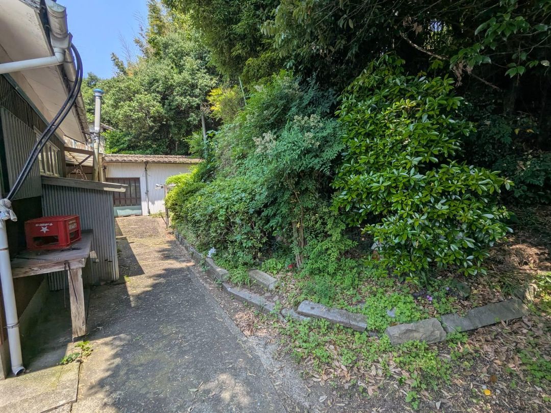 Land for Sale with Old House in Tara, Saga | 485 sqm Plot - Thumbnail 2