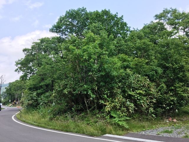 Land for Sale in Niseko's Hot Spring District, Rankoshi, Hokkaido - Thumbnail 3