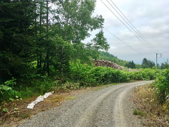 64,121 sqm Land for Sale in Niseko's Kurokawa - DYNAMICLAND - Thumbnail 2