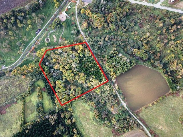 24,426 sqm Forest Land for Sale in Rusutsu Resort, Hokkaido - Thumbnail 2