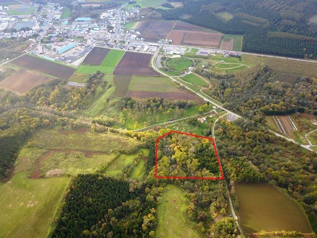 24,426 sqm Forest Land for Sale in Rusutsu Resort, Hokkaido - Thumbnail 3