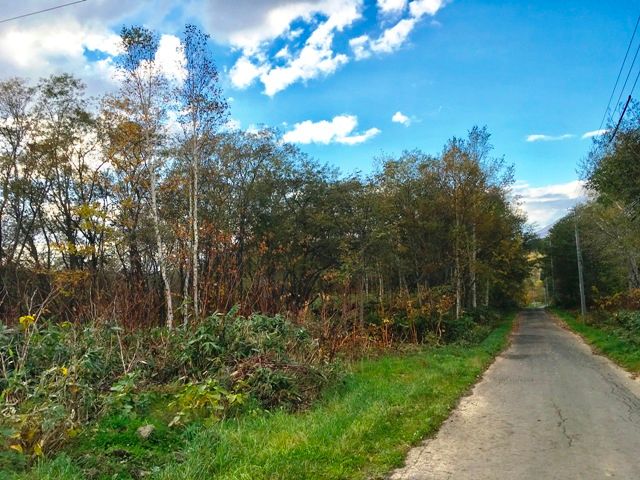 24,426 sqm Forest Land for Sale in Rusutsu Resort, Hokkaido - Thumbnail 4