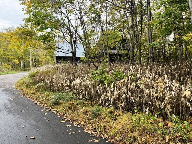 Land for Sale in Rankoshi, Hokkaido - HighGrade Villa Yuri 117 - Thumbnail 2