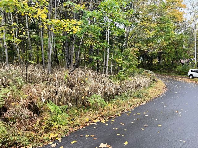 Land for Sale in Rankoshi, Hokkaido - HighGrade Villa Yuri 117 - Thumbnail 3