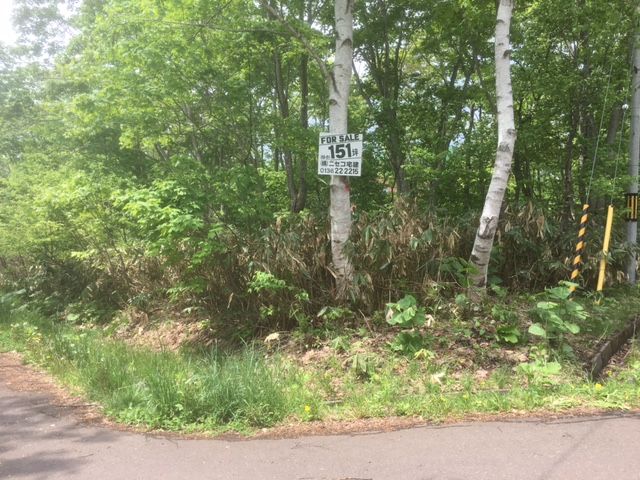 HolidayLand Royal Town 151 Land for Sale in Niseko, Hokkaido - Thumbnail 4