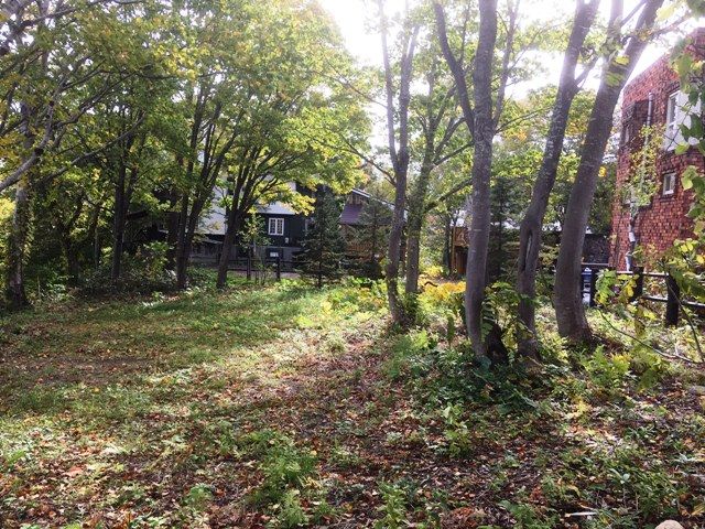 871 sqm Land for Sale in Niseko's Middle Village Hirafu - Thumbnail 2