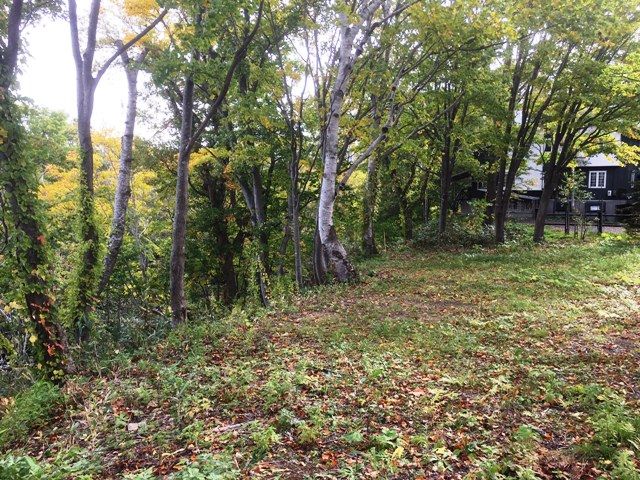 871 sqm Land for Sale in Niseko's Middle Village Hirafu - Thumbnail 4