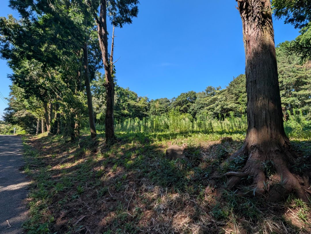 1,857 sqm Land for Sale in Isahaya, Nagasaki - Thumbnail 4