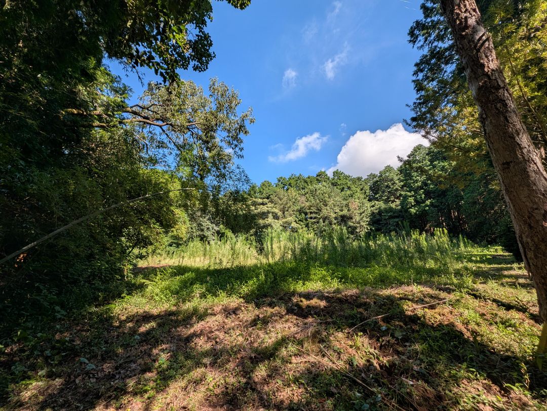 1,857 sqm Land for Sale in Isahaya, Nagasaki - Thumbnail 2