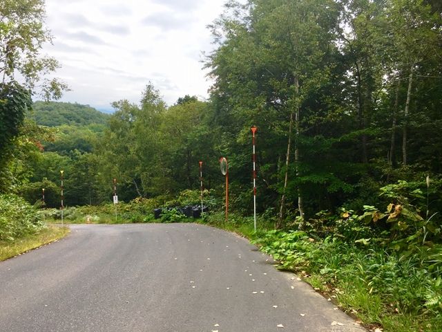 Large 58,669 sqm Forest Land for Sale in Niseko, Hokkaido - Thumbnail 2