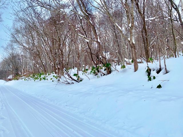 HighGrade Villa Yuri 226 Land for Sale in Niseko's Rankoshi - Thumbnail 3