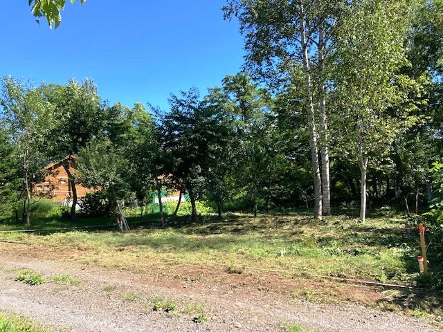 Land for Sale in Niseko - 381sqm Plot in Kondo Subdivision - Thumbnail 3