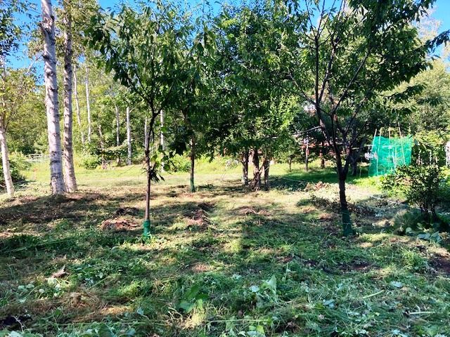 Land for Sale in Niseko - 381sqm Plot in Kondo Subdivision - Thumbnail 2