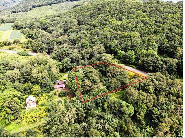 Land for Sale in Rankoshi, Hokkaido - 4,807 sqm with Stream - Thumbnail 2